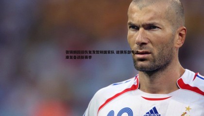 saba体育-张镇麟因旧伤复发暂别国家队 返俱乐部专注康复备战新赛季